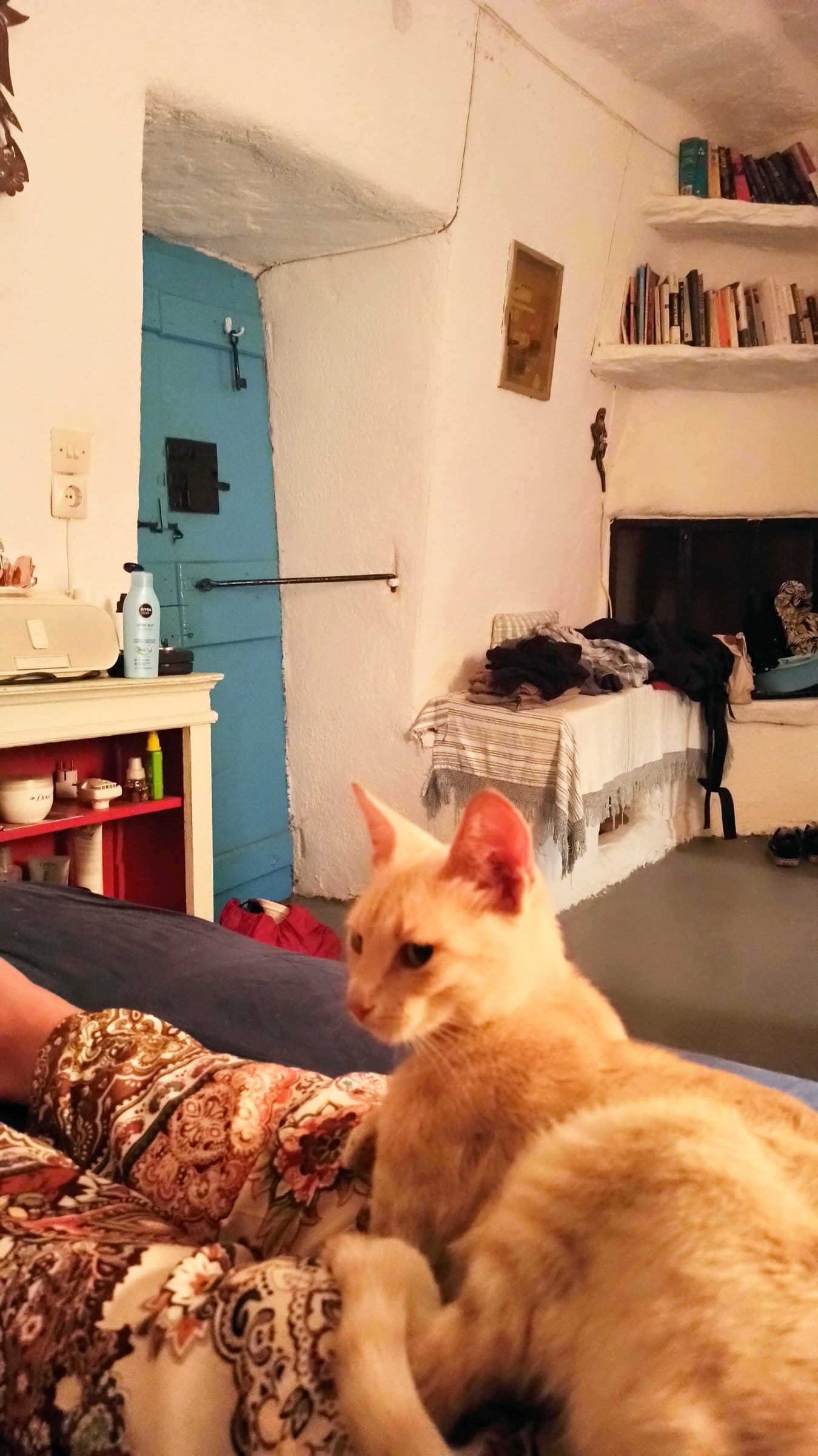 A ginger cat sits on a patterned blanket in a whitewashed room with a blue door.