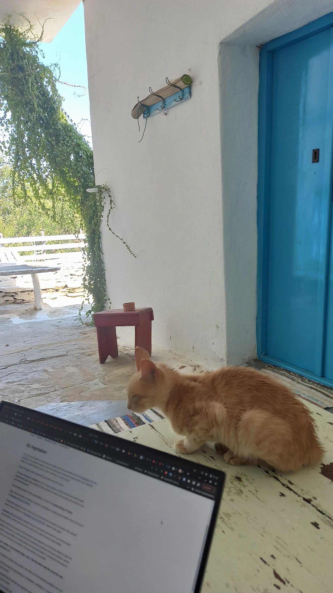 An orange tabby cat rests near a laptop on a tiled patio outside a bright blue door.
