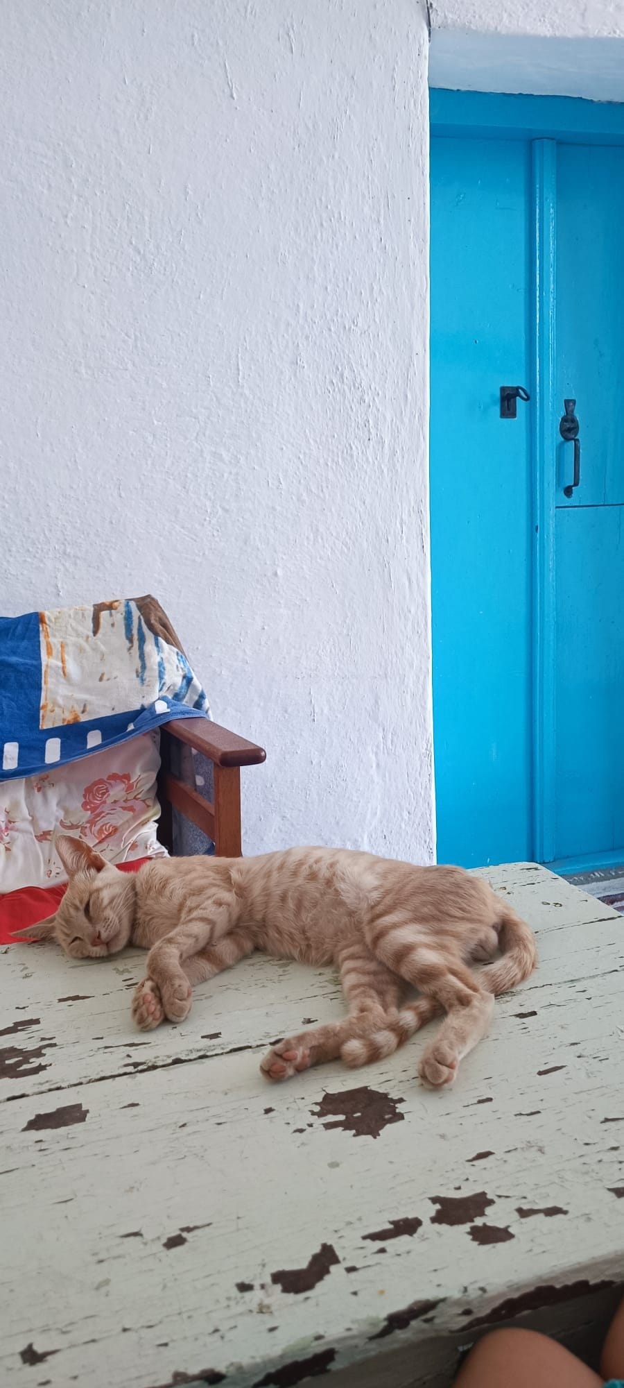 An orange tabby cat relaxes on a weathered white table near a bright blue door and patterned fabric.
