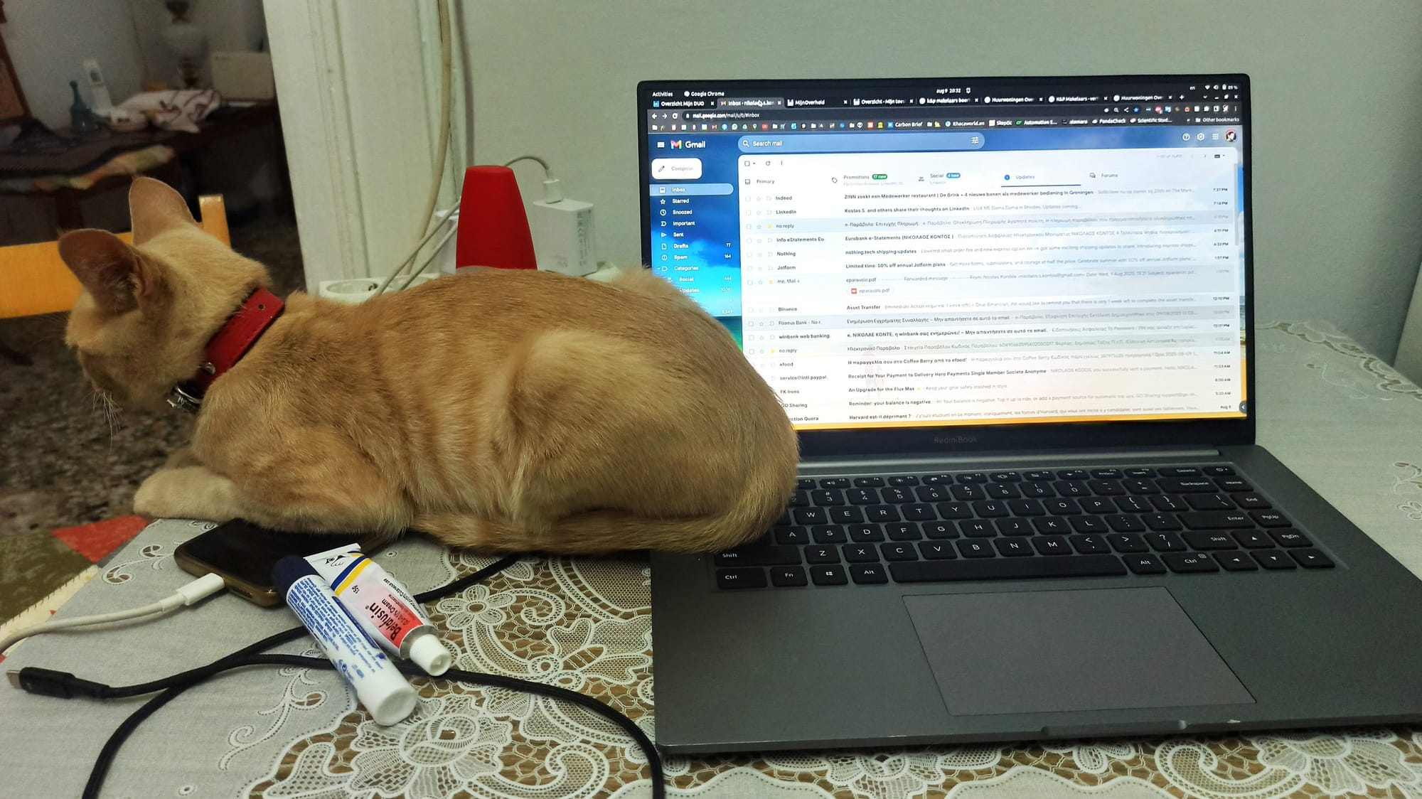 A ginger cat rests its head on an open laptop, next to a tube of ointment on a patterned tablecloth.
