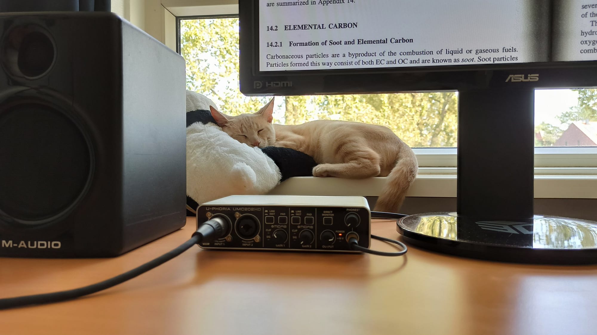 A cream and ginger tabby is lying comfortably on top of electronic equipment next to a window.