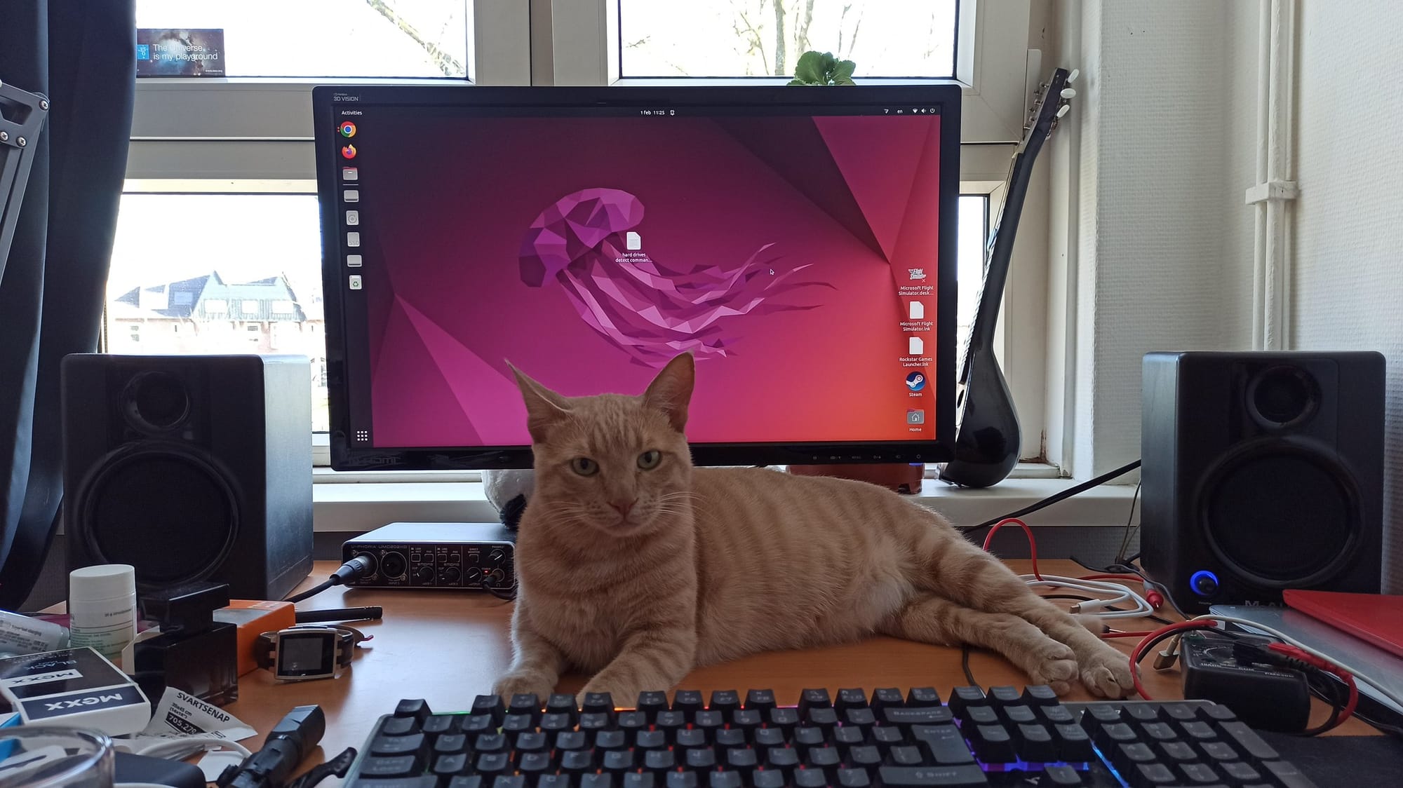 A cream and ginger tabby rests on a keyboard in front of a computer monitor and speakers.