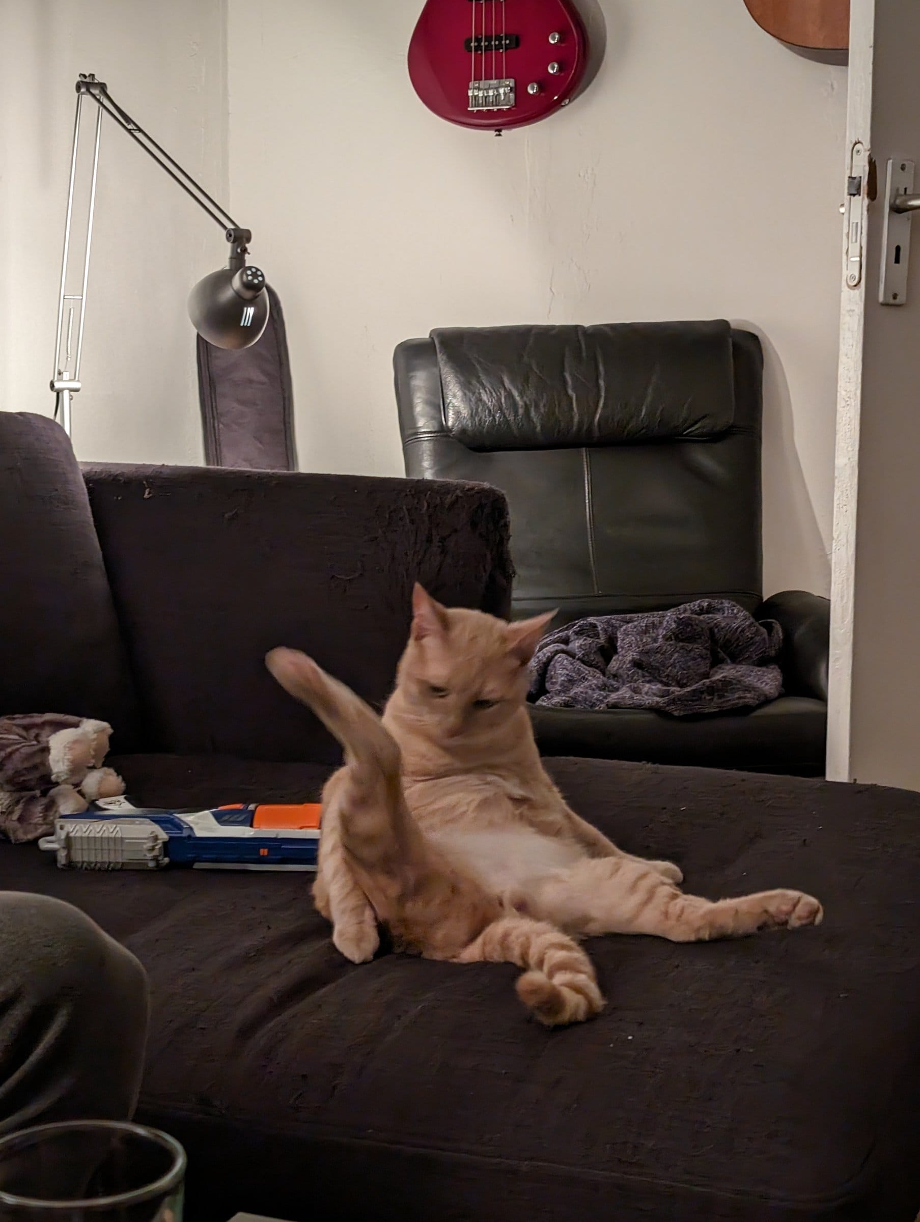 A ginger tabby sprawls dramatically on a dark sofa next to a toy gun and a fluffy blanket.