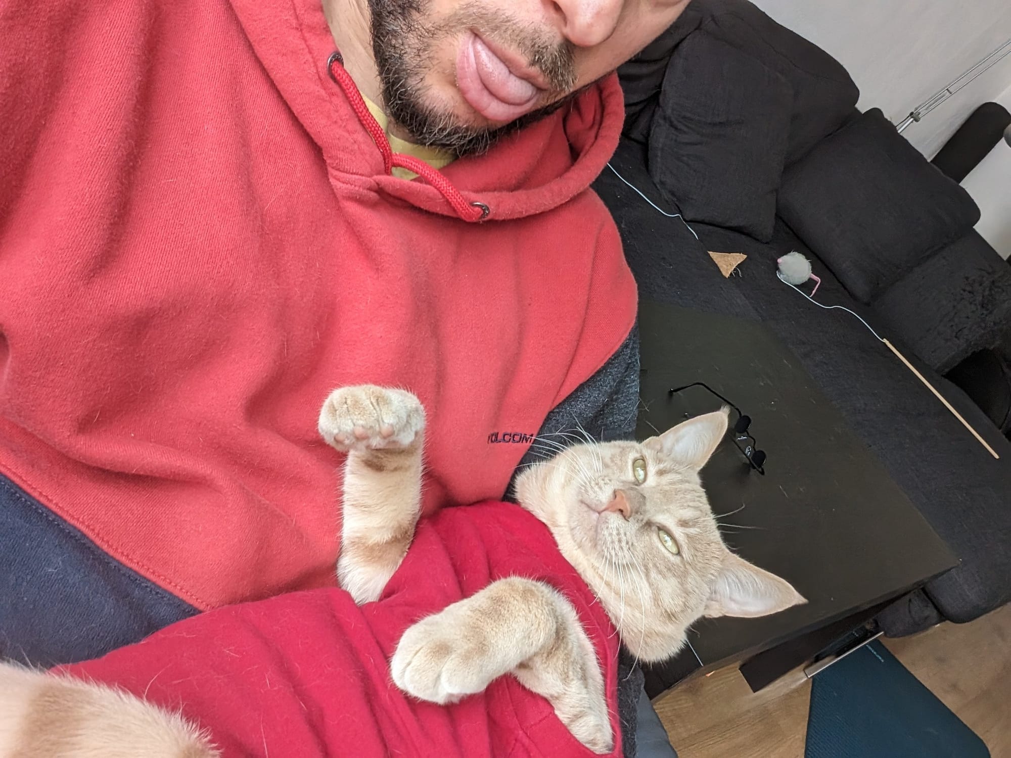 A cream and ginger tabby in a red recovery suit lies on a man wearing a red hoodie.