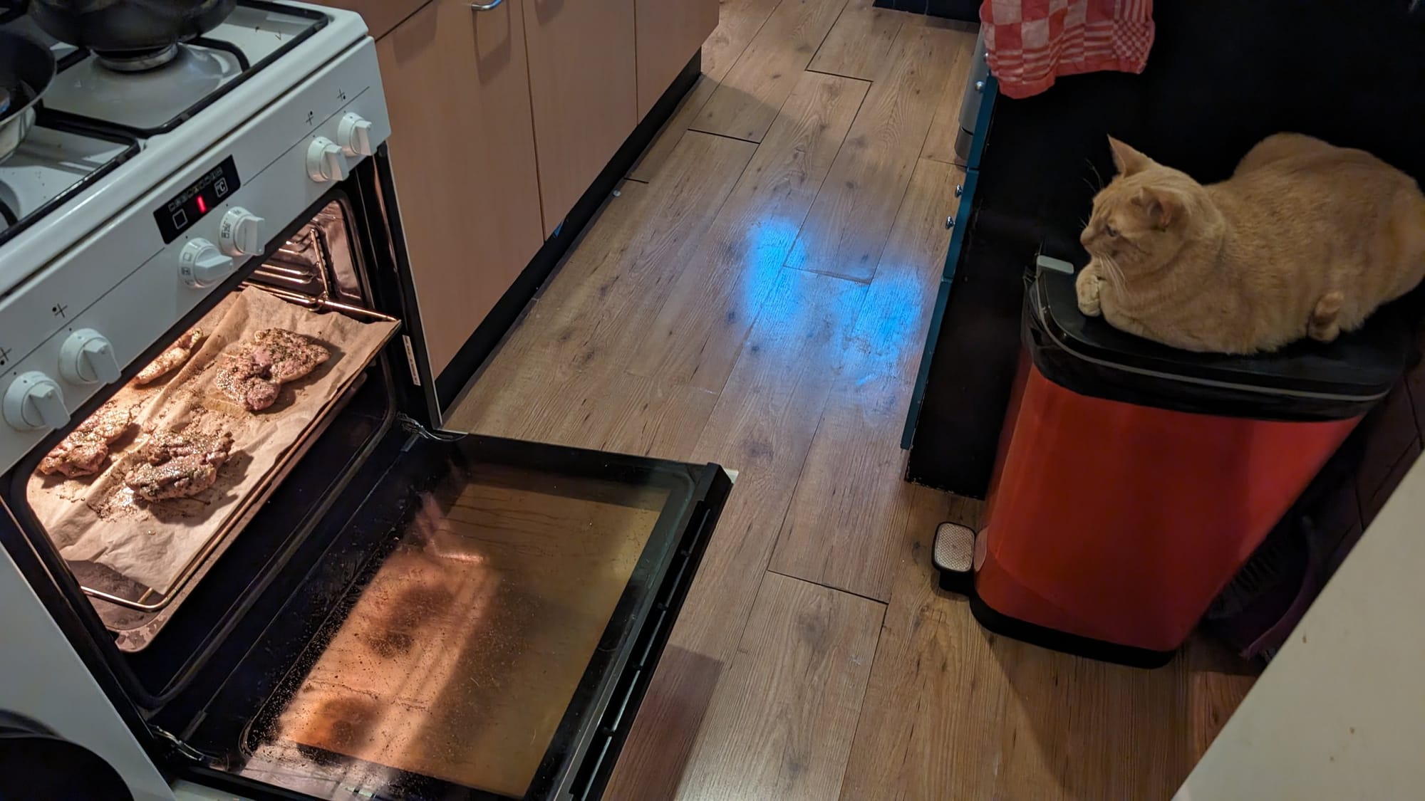 An open oven with roasting meat is visible alongside a ginger cat resting on a bin in a dimly lit kitchen.