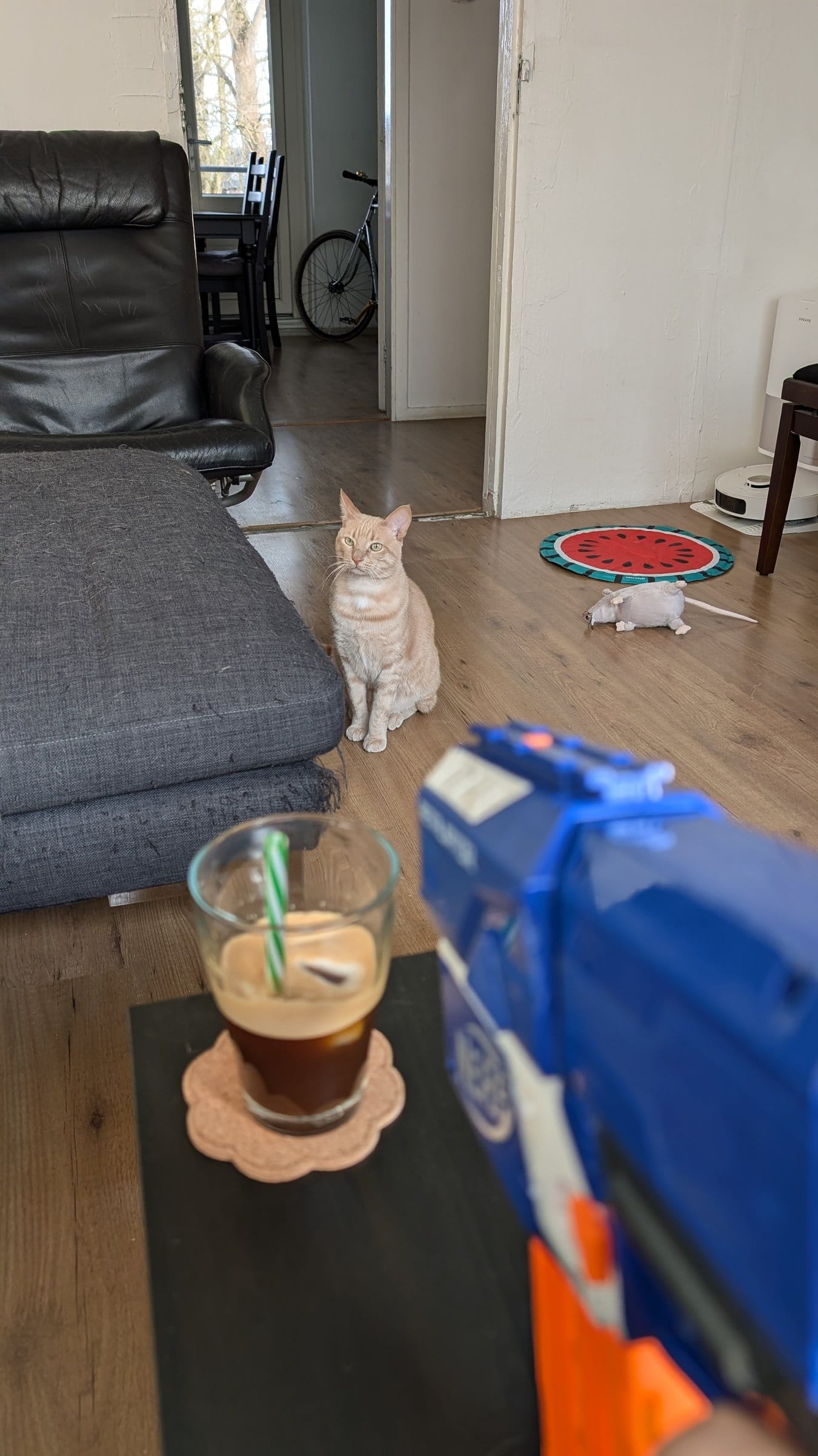 A Nerf gun and an iced coffee on a table, with a cream and ginger tabby on the floor behind them.