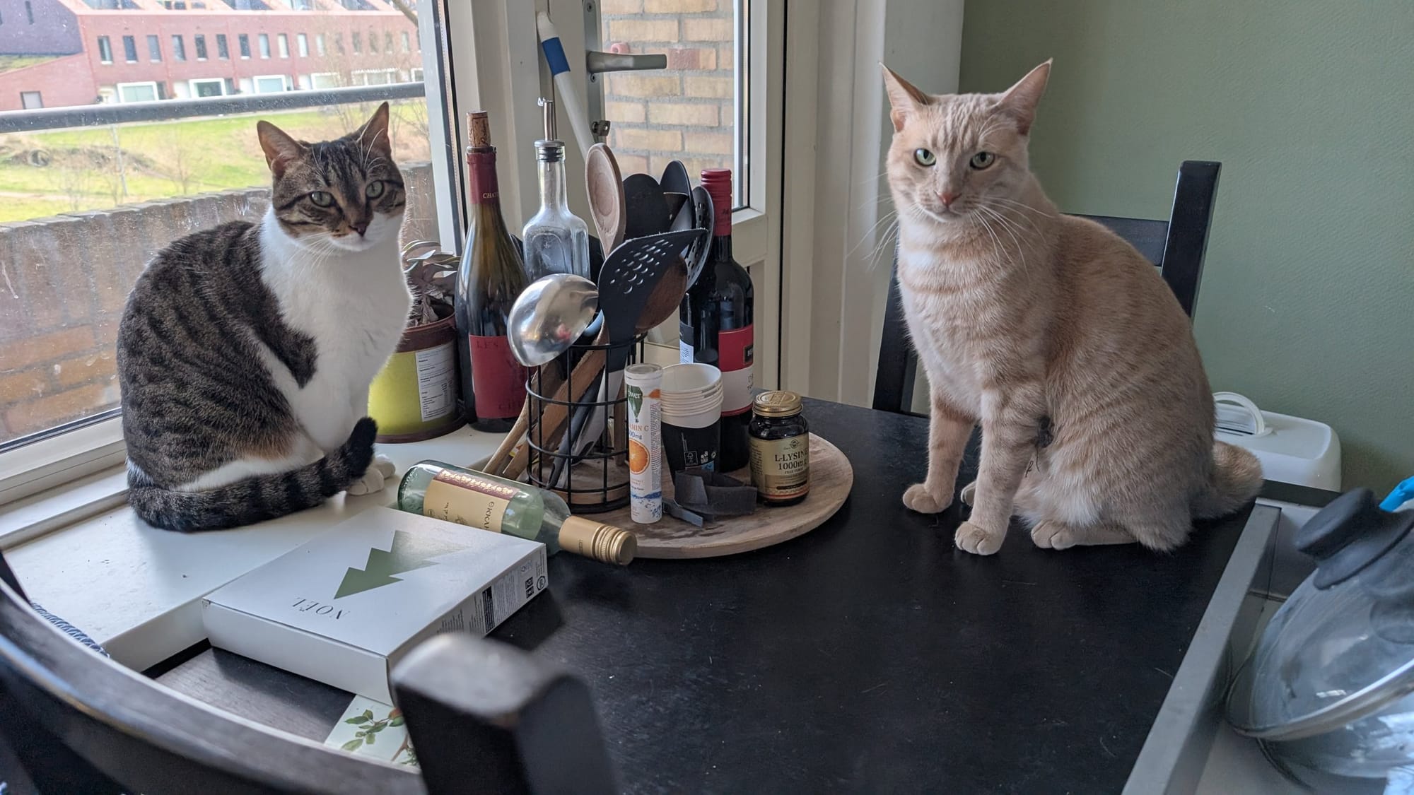 A cream and ginger tabby and a brown tabby sit on a kitchen counter near a window and utensil rack.