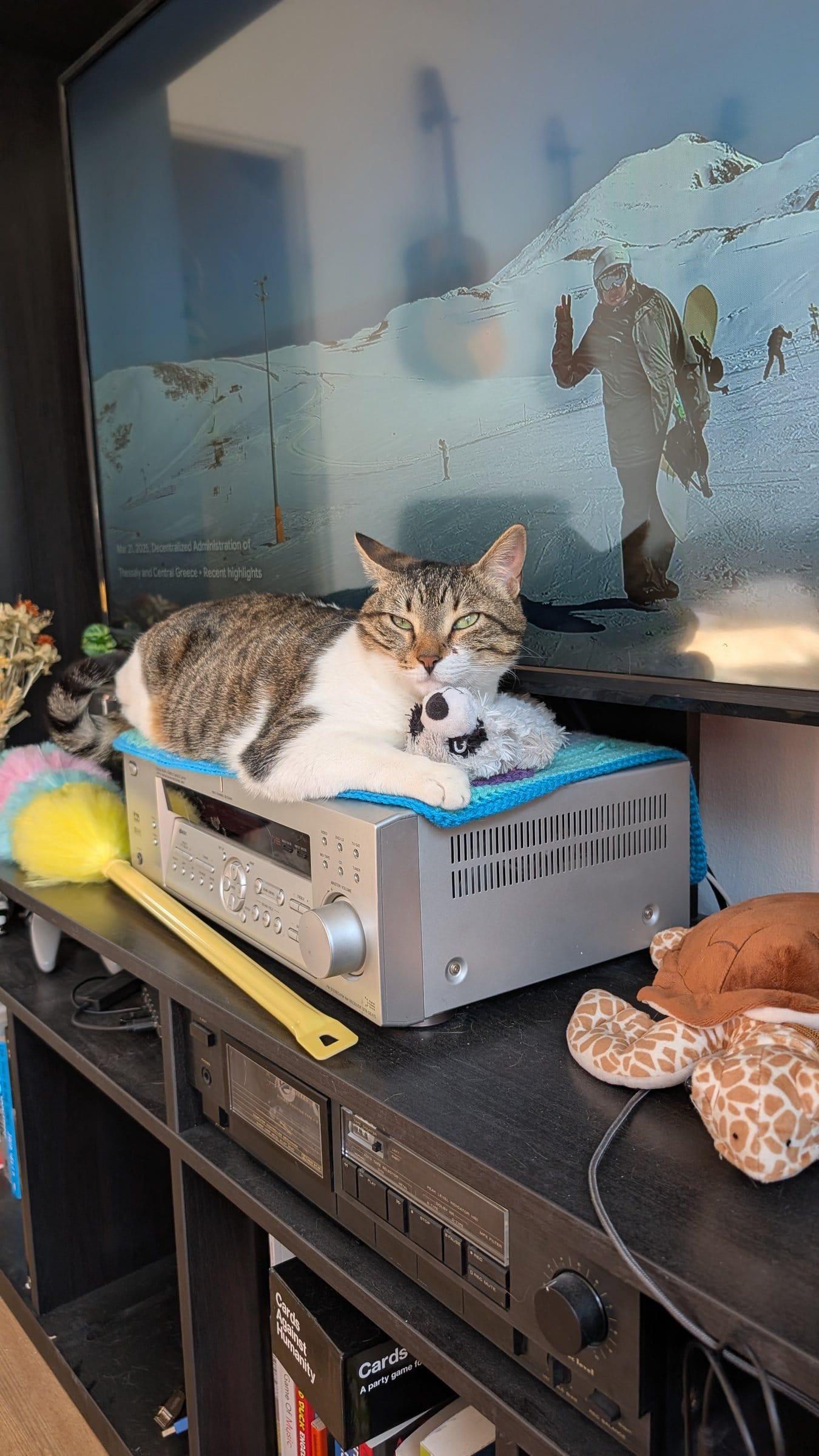 A brown and white tabby lies on audio equipment next to a panda plush toy, in front of a TV.