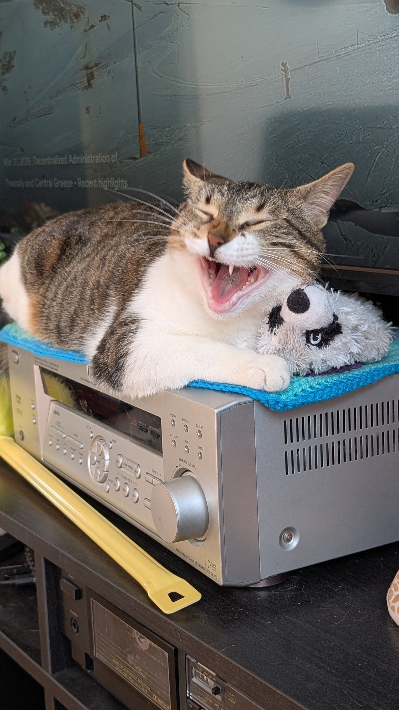 A grey and white tabby cat yawns widely while lounging on top of audio equipment with a small white toy.