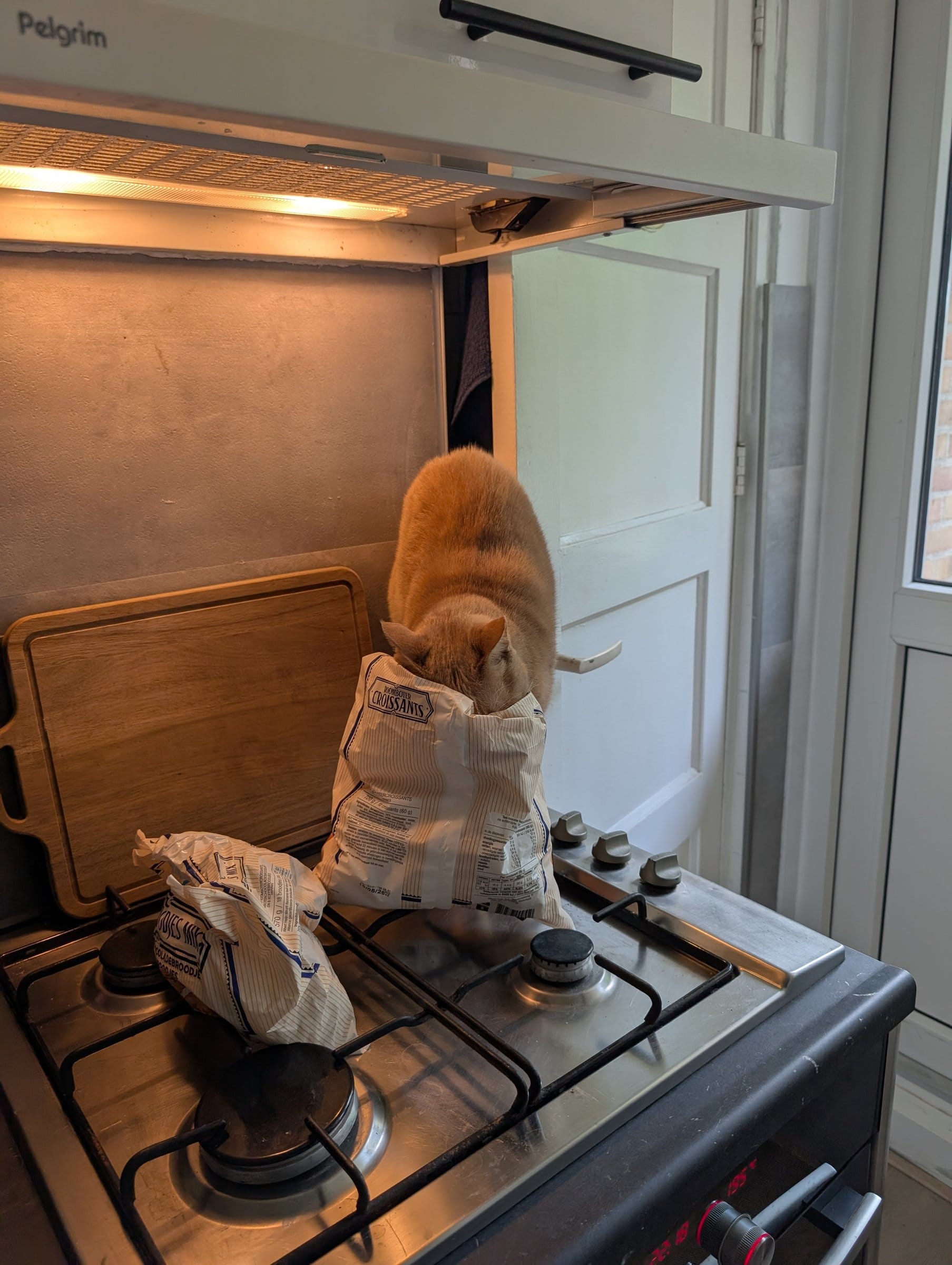 A ginger cat sits amongst paper bags on a stainless steel stove beneath a range hood.