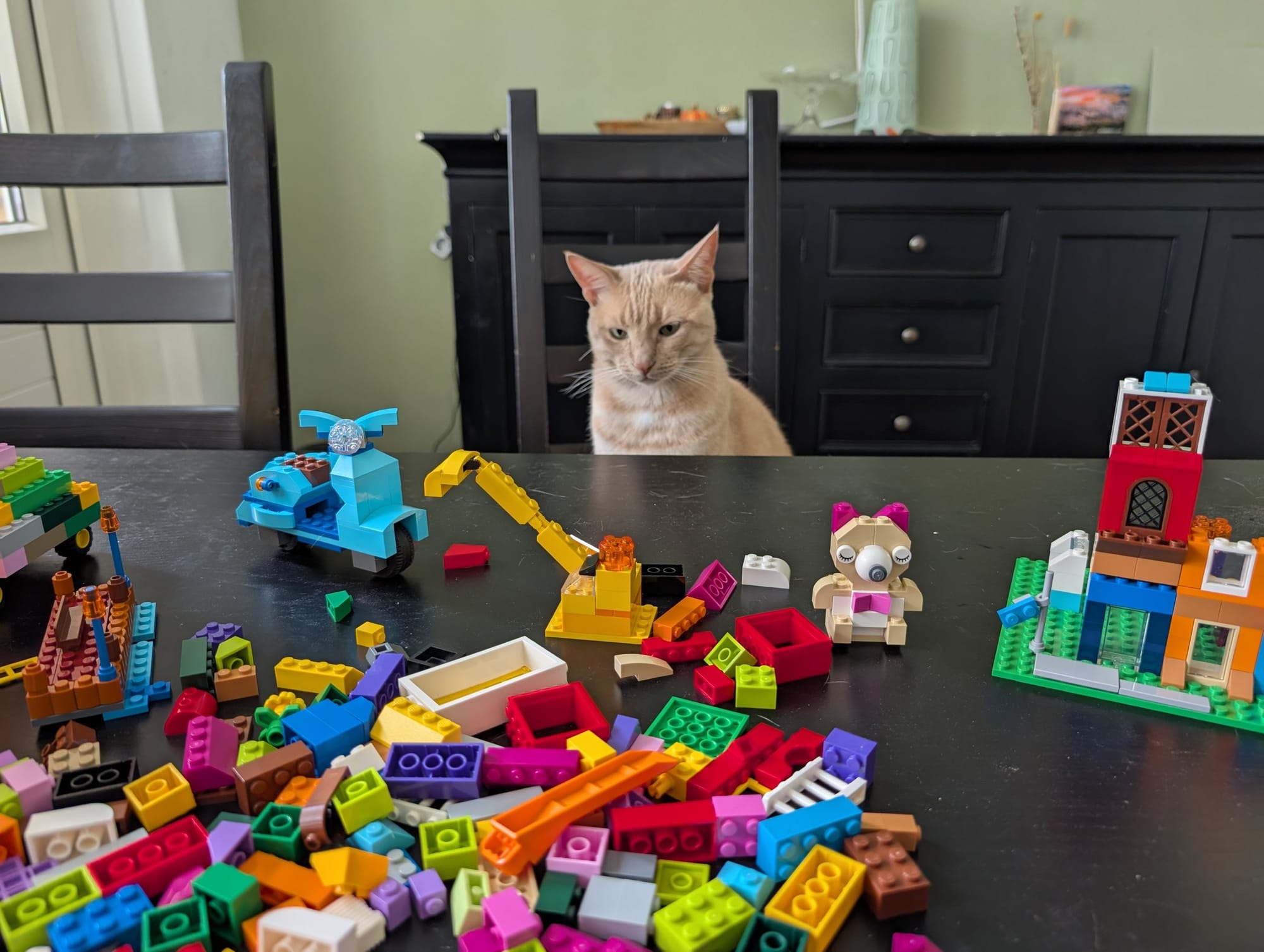 A ginger cat sits amongst a colourful scattering of LEGO bricks on a dark table.