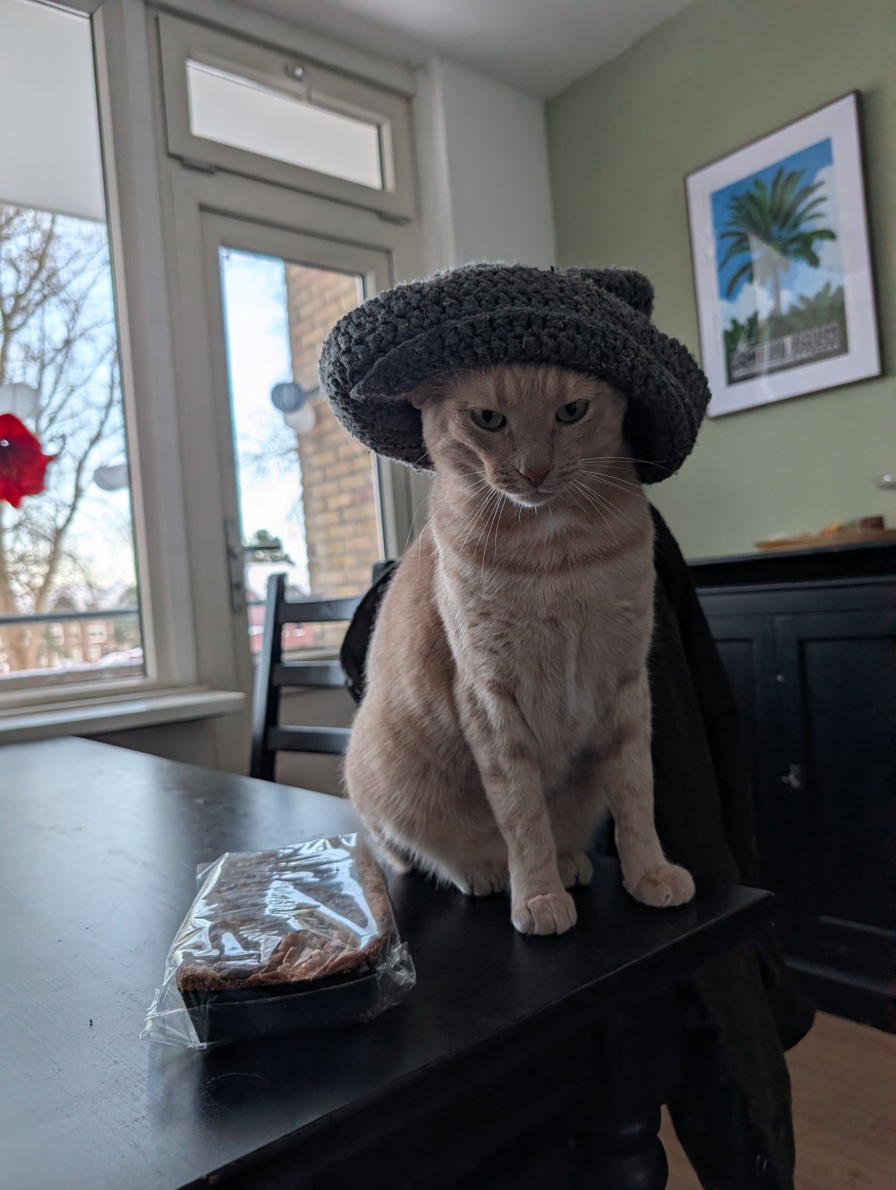 A cream and ginger tabby wearing a knitted hat sits on a table next to a wrapped brownie.