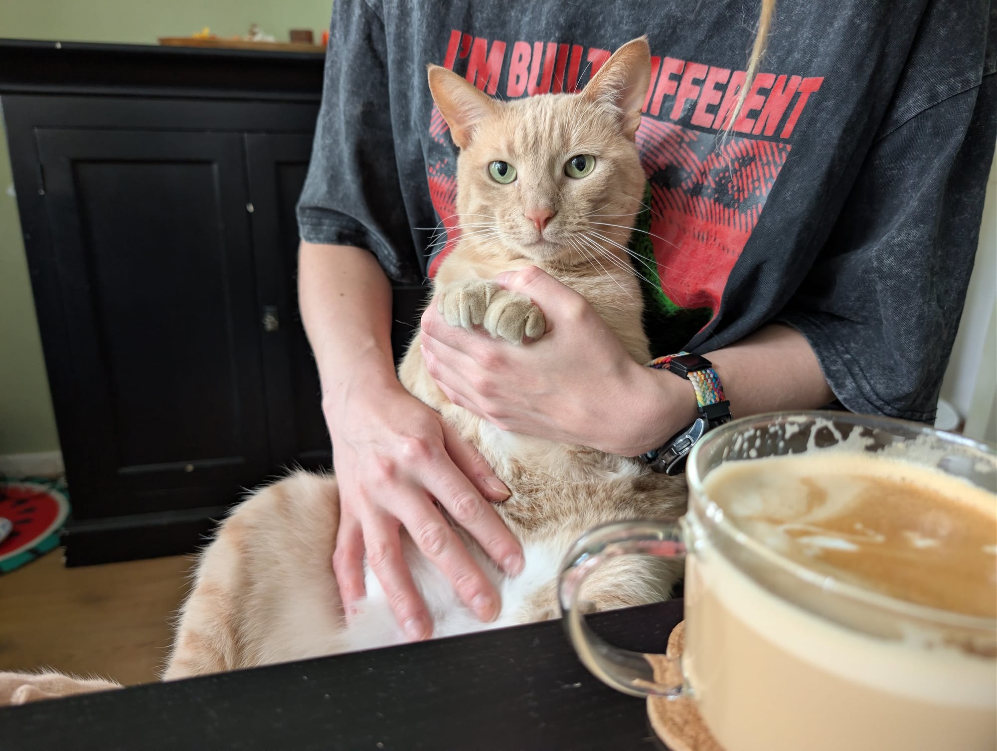 A cream and ginger tabby is being held by a person, next to a glass of latte.