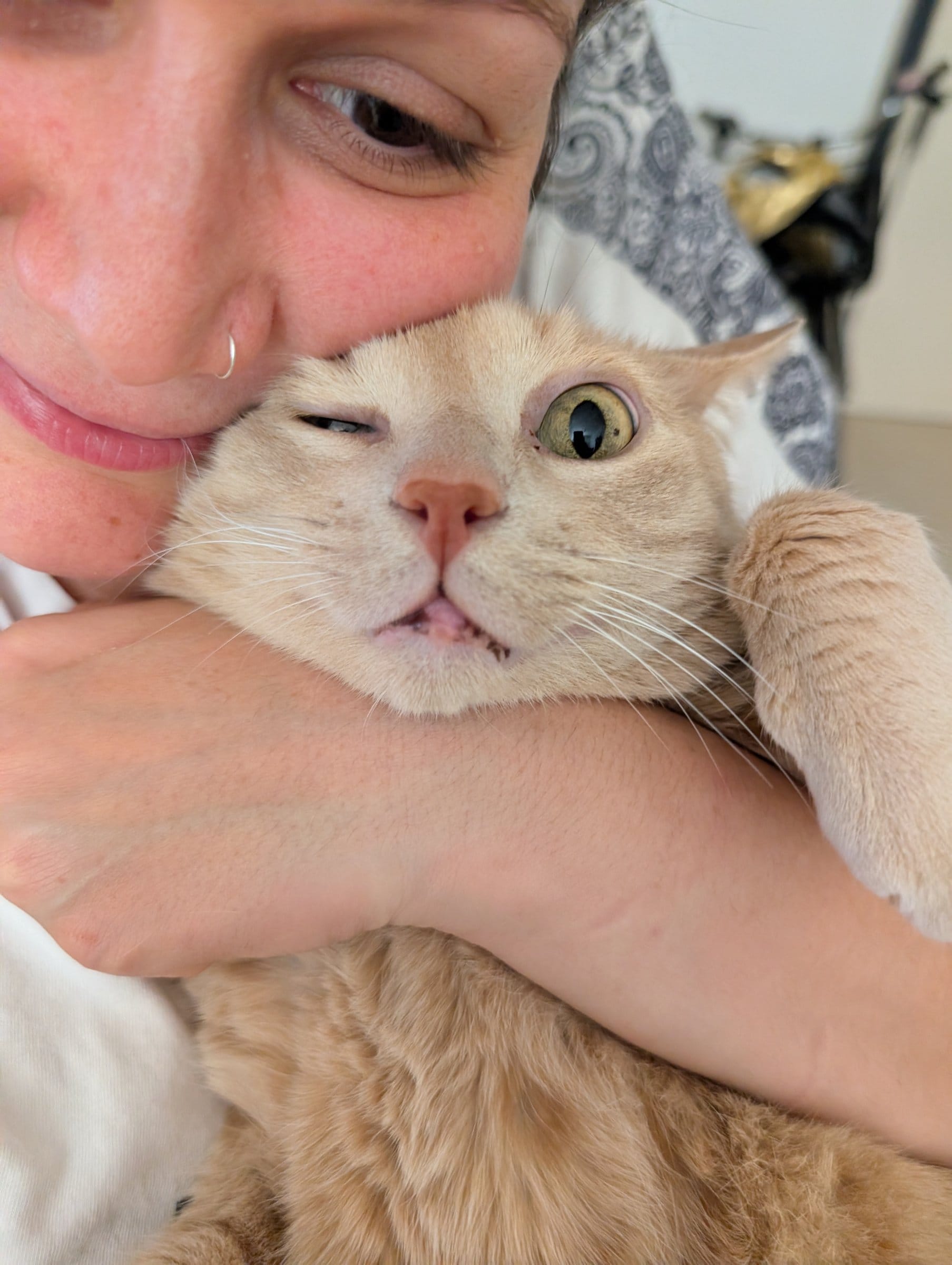 A person cradles a ginger cat with one eye closed, looking directly at the camera.