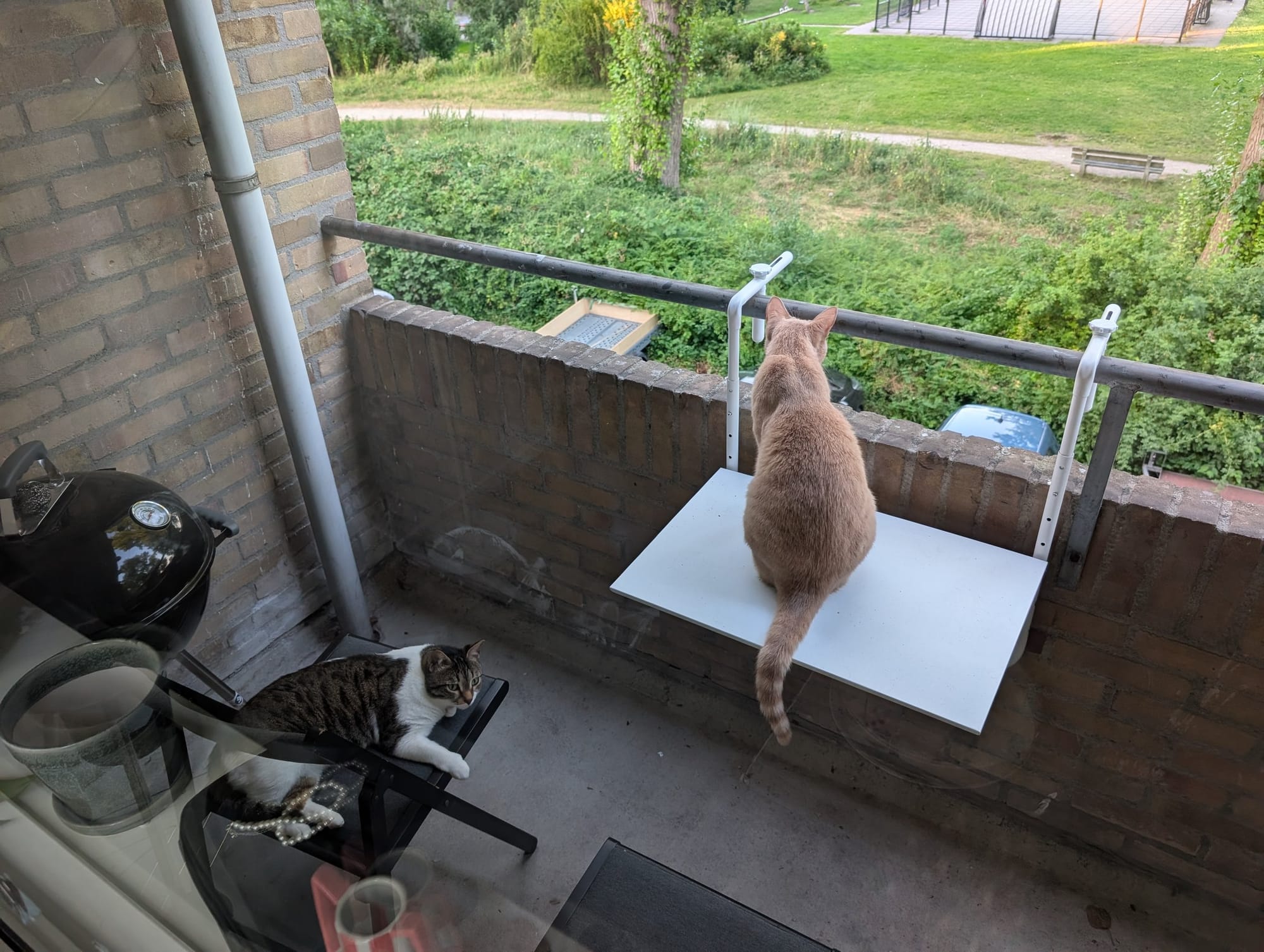 A cream and ginger tabby sits on a balcony railing while a brown tabby rests on a shelf below, overlooking greenery.