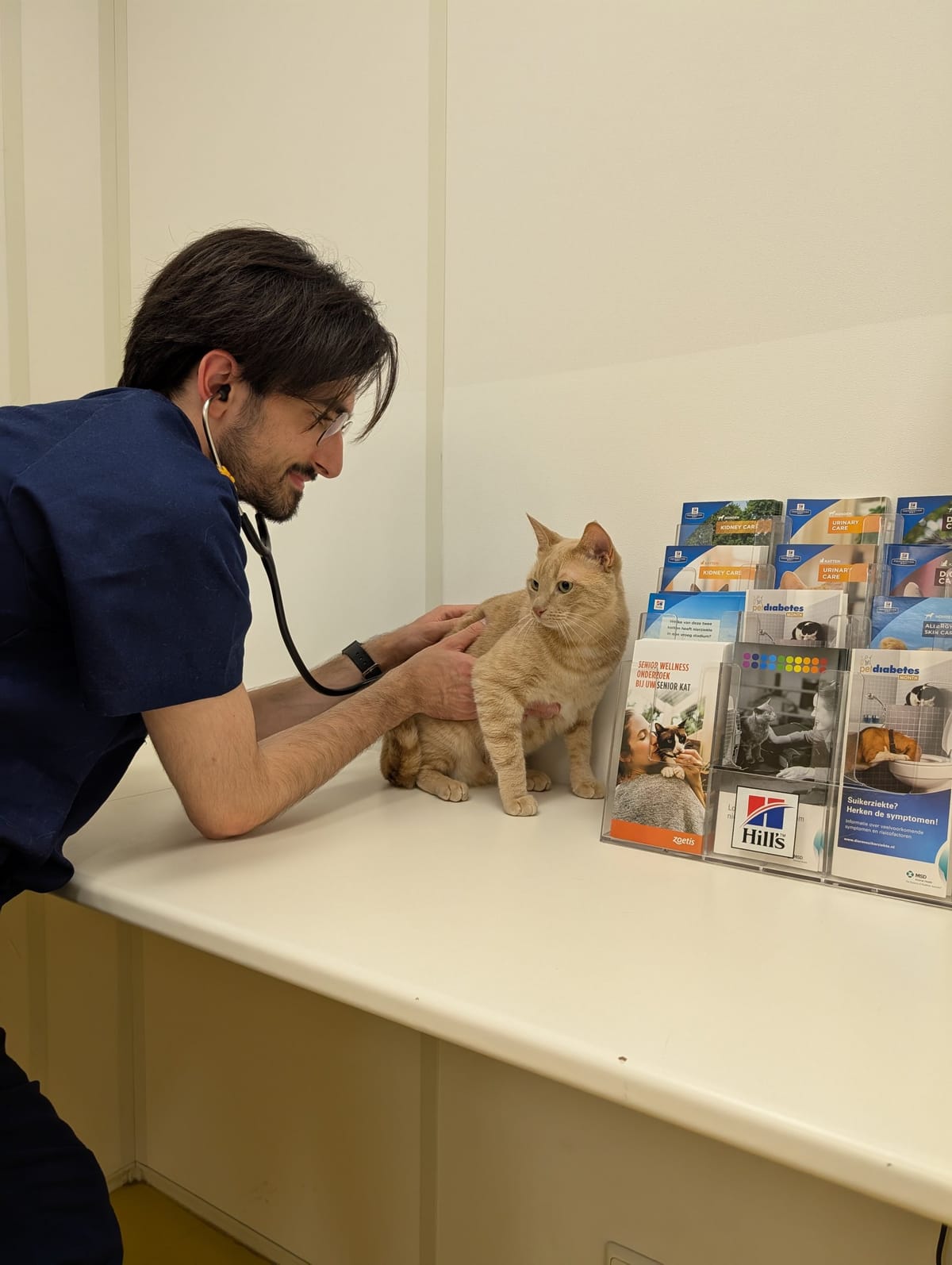 Check-up Day