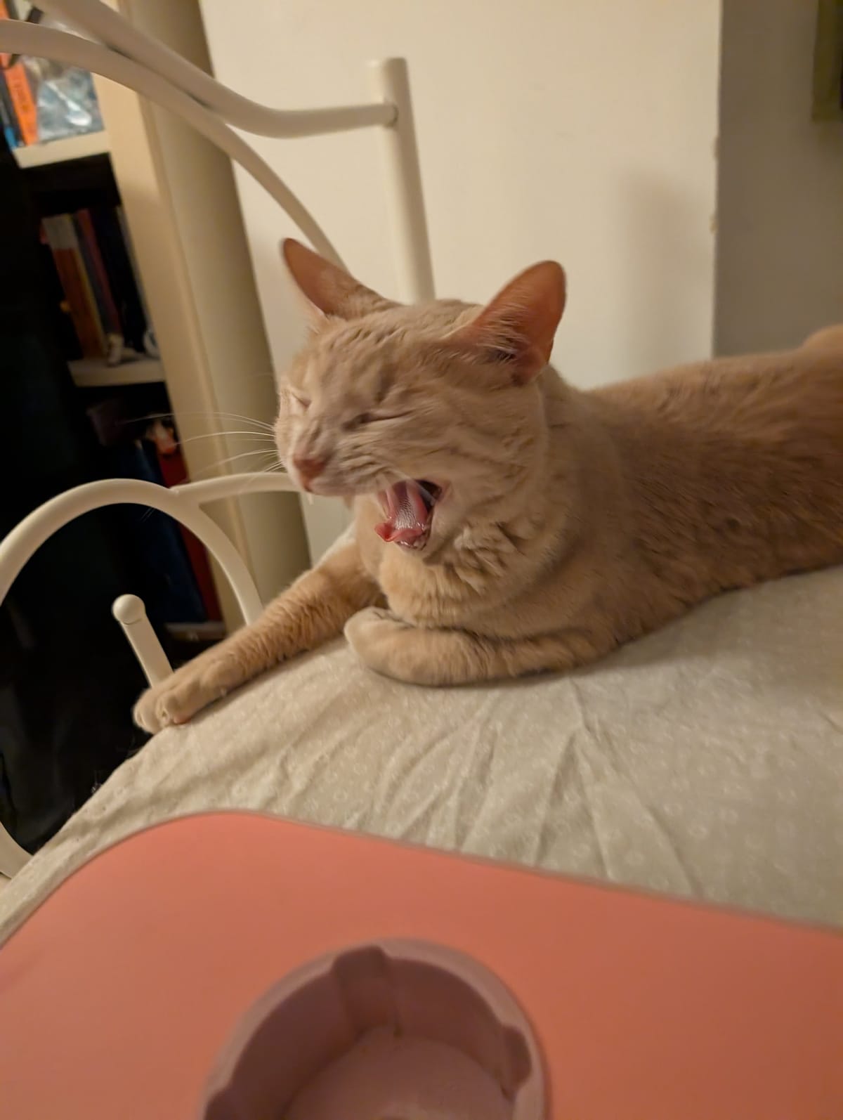 My Evil Cousin Fountoukis