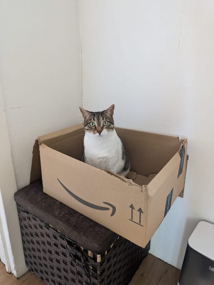We Like Boxes